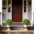 artificial boxwood topiary ball trees for front door on a desk or shelf