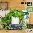 rovala silk plants for home decor indoor in, close-up detail