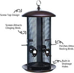 nature's rhythm metal hopper bird feeder two chambers，heavy, close-up detail