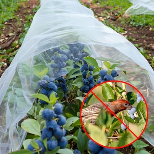 gonlei garden netting 2pack 10x30ftplants garden mesh berry, main product view