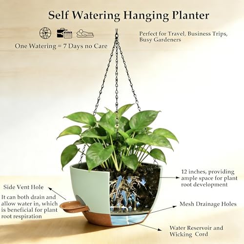 12 inch self‑watering hanging planters plant pots, green‑brown showing dimensions