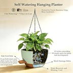 12 inch self‑watering hanging planters plant pots, green‑brown showing dimensions