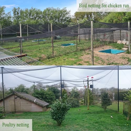 bird netting for chicken coop 25x25 ft, 1/2" showing dimensions