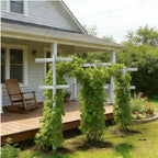 mrgarden 7-feet adjustable garden trellis set for raspberry, side view