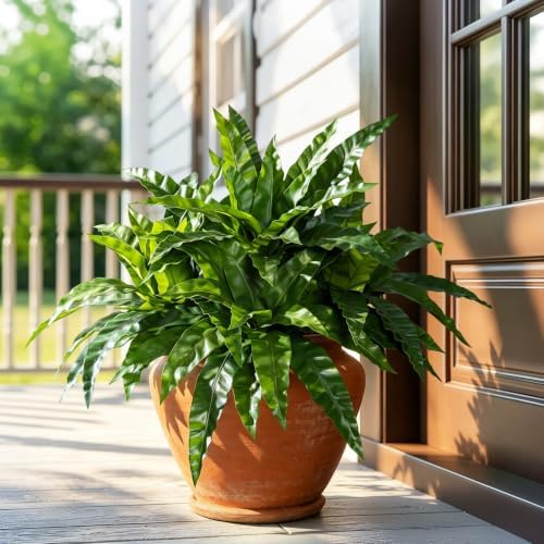 artificial greenery stems fake bird nest fern faux shown in use