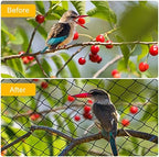 bstpcoo 2.4" mesh bird netting for chicken coop, side view