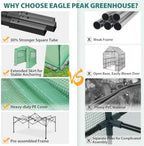 eagle peak 8x6 easy setup pop up greenhouse, front angle view