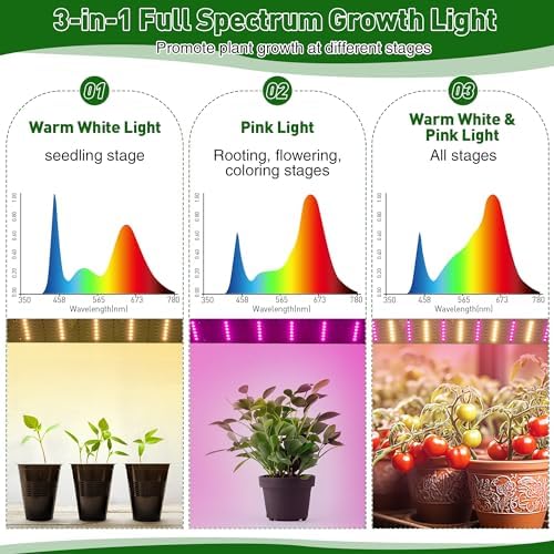 meonum mini greenhouse for indoor outdoor, portable green showing dimensions