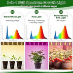 meonum mini greenhouse for indoor outdoor, portable green showing dimensions