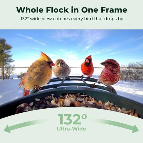 kiwibit solar smart bird feeder with camera, 4k, view 10