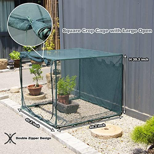 square 4'x4' netting cover 3.3ft tall crop cage shown in use