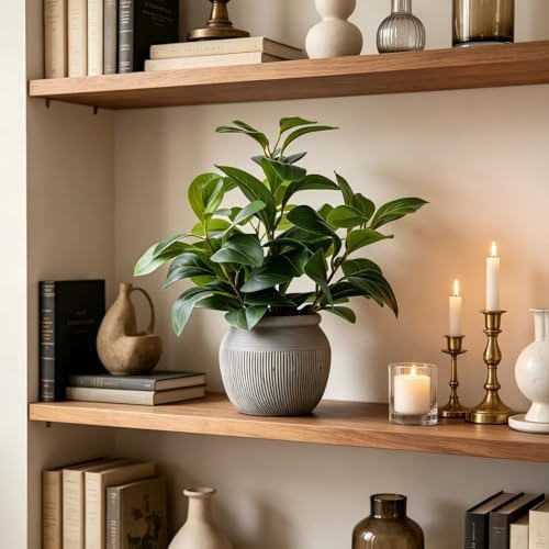 alphaacc 12.8" artificial ficus plant in cement pot, close-up detail
