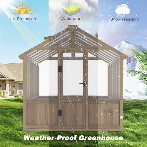 bluewish 6x12ft greenhouse, wood greenhouses with 6mm thick on a desk or shelf