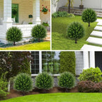 set of 2 artificial cedar topiary ball tree,23" on a desk or shelf