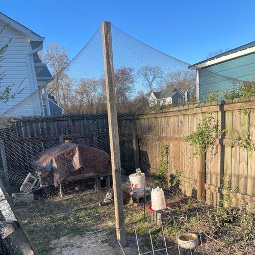 junflying 50x50 ft chicken netting for hawks &, view 9