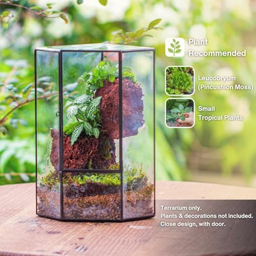 ncyp glass terrarium with front opening door for shown in use