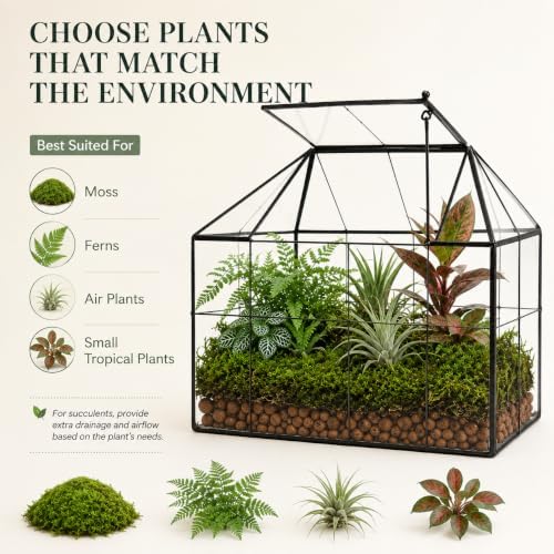 large glass terrarium house planter – succulent plant, view 9