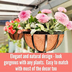 lalagreen round hanging baskets (14 in, 4 pack) on a desk or shelf