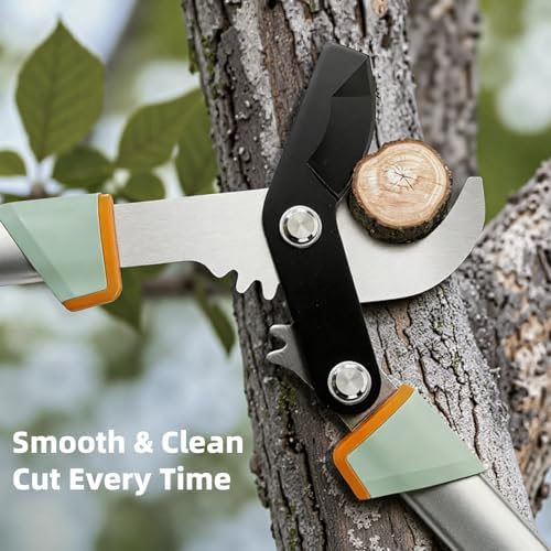 prunepro® loppers for tree trimming stainless steel branch showing dimensions