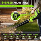 20v electric weed wacker & 650 cfm leaf, close-up detail