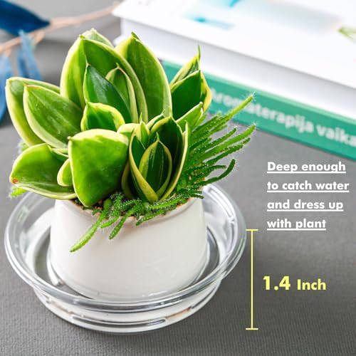 Plant Saucer 20 Pack Plant Trays for Pots 4 Inch Plastic Plant Saucers for Outdoors and Indoors Clear Drip Trays for Potted Plants Flower Pot Plates to Catch Water Plant Drainage Dishes No Holes