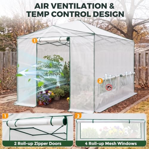 eagle peak 12x8 portable walk-in greenhouse, pop-up indoor shown in use