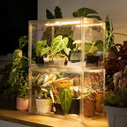 bstrip small tabletop greenhouse with grow light, indoor, main product view