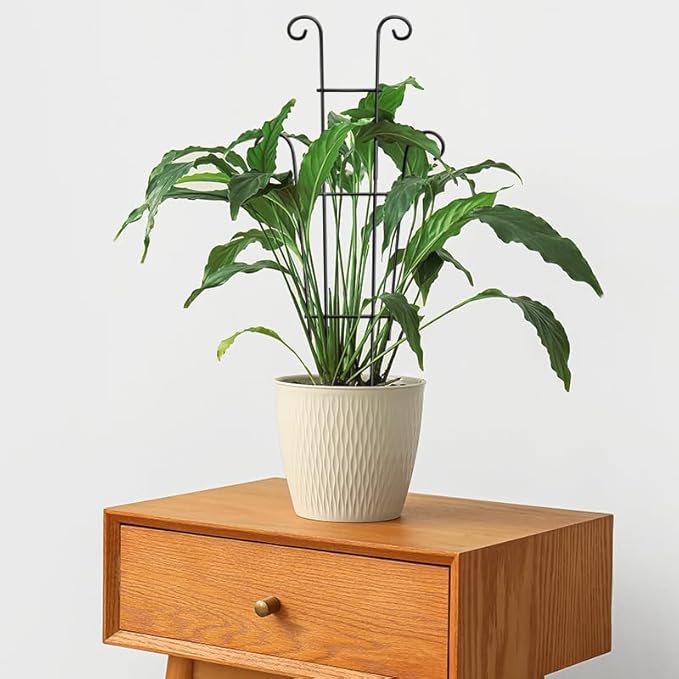 Coomin 23in Taller Plant Trellis for Climbing Plants Indoor, Sturdy Houseplant Trellis for Potted Plants with Ties, Vine Plant Support for Monstera Pothos Ivy, Plant Decor, 2P