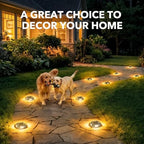 AGPTEK Solar Driveway Lights Outdoor 12 Pack, 2 Color Modes LED Deck Dock | Marine Waterproof Driveway Marker Lights for Step Sidewalk Stair Garden Pathway Walkway Yard (Warm White/Cool White)