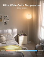 govee lantern floor lamp, halo gradient rgbic smart, package contents