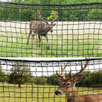 100ft deer fence netting, heavy duty deer netting, main product view