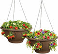 ultimate hanging baskets - strawberry, tomato, flower, and, main product view
