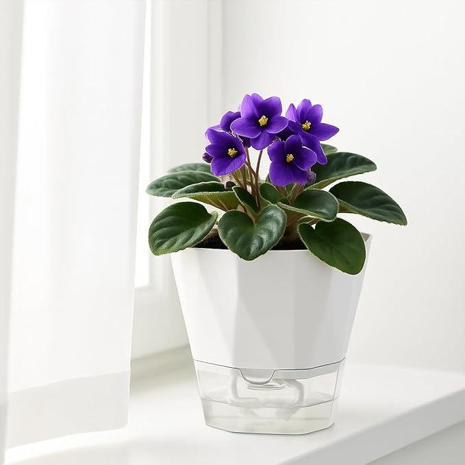 5 Pack Self Watering Plant Pots 6.7 Inches Self Watering Planters for Indoor and Outdoor Plants African Violet Self Watering Pots Clear Pots for Plants Herb Orchid Flower Houseplant Pots, White