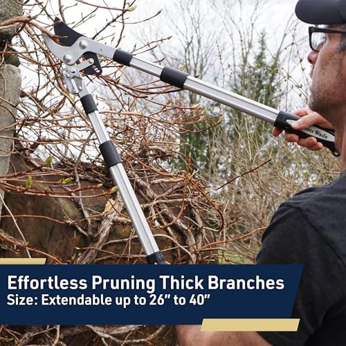 kings county tools tree trimmer loppers with 26" on a desk or shelf