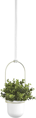 umbra triflora hanging planter, indoor herb garden, set, view 14