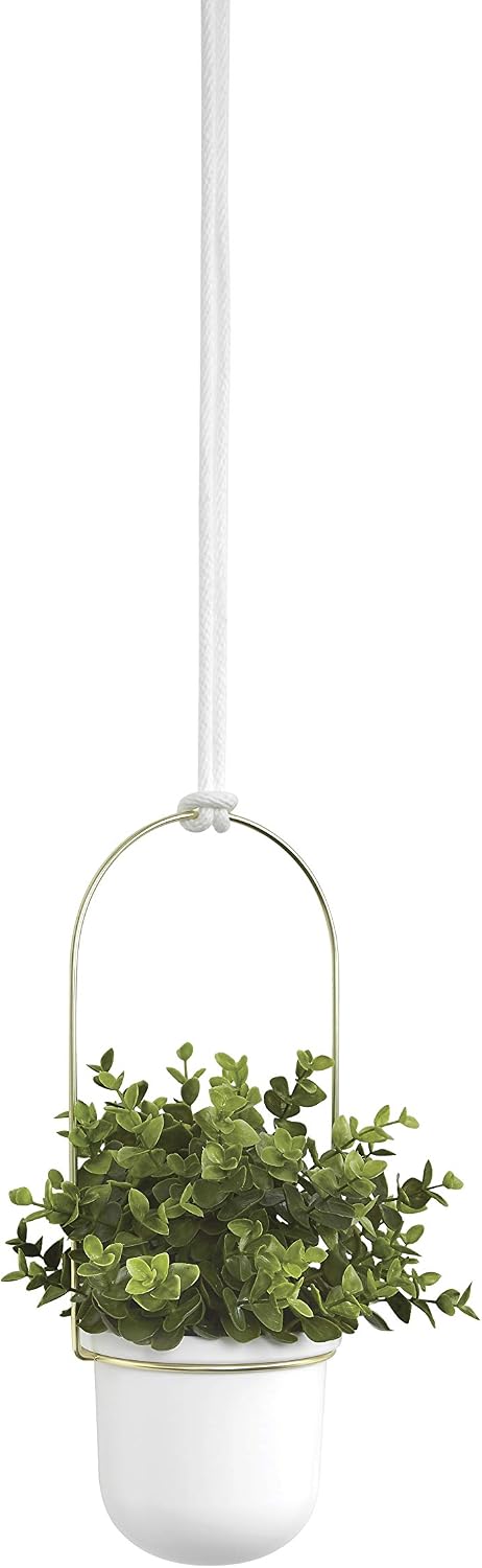 umbra triflora hanging planter, indoor herb garden, set, view 14