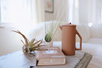 White Ceramic Wall Planter Assorted Air Plants - Live Tillandsia in Holder Succulents Vase - Home & Garden Decor - Easy Care (3 Small Planters with 3 Air Plants)