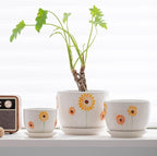Ton Sin Plant Pots,Set of 3 Ceramic Sunflower Flower Pots for Indoor Plants,4+5+6 inch Pots with Drainage Hole Saucer,Garden Pots Catus Planters