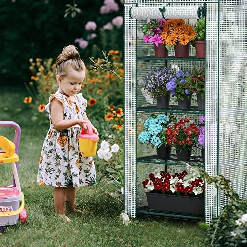 workpro mini greenhouse, 4-tier portable small greenhouses (27"x, package contents