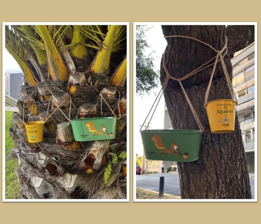 Hanging Squirrel Feeder & Waterer for Outside, Large Feeder.