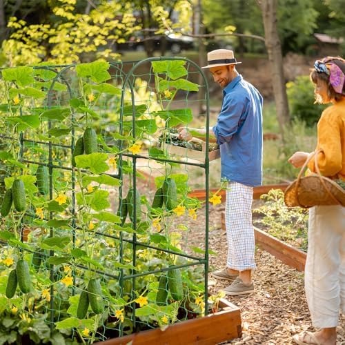 50 cucumber trellis for raised bed, u-shape metal, front angle view