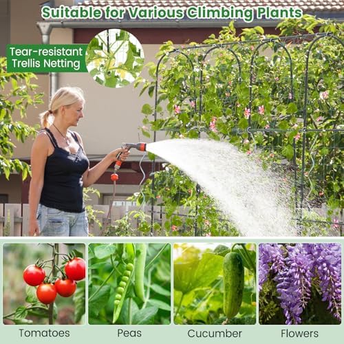 71" x 71" cucumber trellis for raised bed, side view