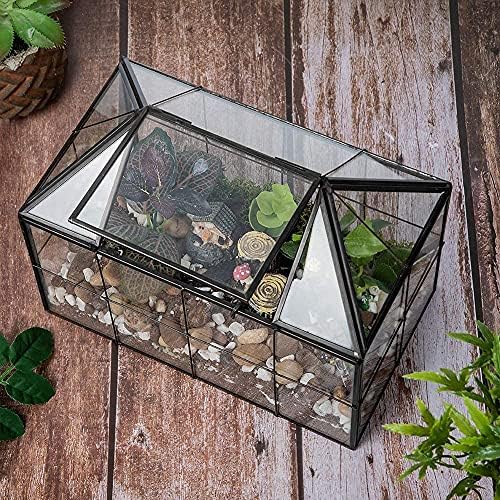 ferrisland glass geometric plant terrarium, clear glass succulent, front angle view