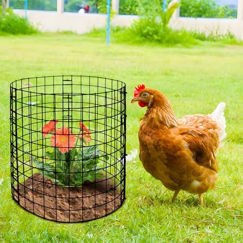 10 packs wire plant protector from animals, metal, package contents