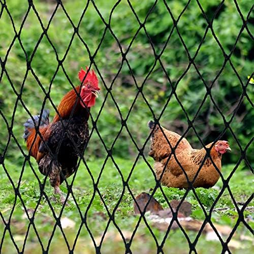 dqs bird netting 50' x 50', 2.4" square on a desk or shelf
