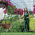 cucumber trellis for raised beds, 31 x 47 showing dimensions