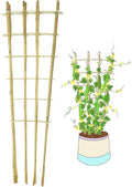 Natural Bamboo Trellis, 4Feet,3Pack,Fan-Shaped Plant Support Trellis for Outdoor and Indoor Potted Climbing Plants,Vegetables, Cucumber, Tomato, Hoya,