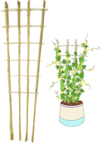 Natural Bamboo Trellis, 4Feet,3Pack,Fan-Shaped Plant Support Trellis for Outdoor and Indoor Potted Climbing Plants,Vegetables, Cucumber, Tomato, Hoya,