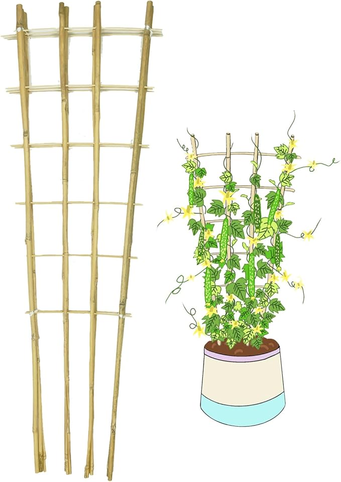 Natural Bamboo Trellis, 4Feet,3Pack,Fan-Shaped Plant Support Trellis for Outdoor and Indoor Potted Climbing Plants,Vegetables, Cucumber, Tomato, Hoya,