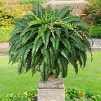 48 inch 128 leaves artificial ferns for outdoors, front angle view
